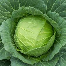 Cute glycerine 140 ml image 2